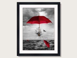 Umbrella Journey Framed Print By Donna O'Donoghue