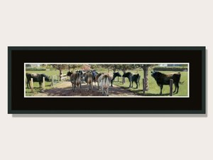 Products: Walking The Gauntlet By Barry Ross Smith Framed Print