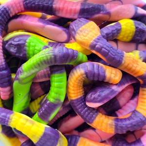 Halloween: Anaconda Snakes