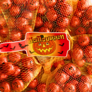 Chocolate Pumpkin Bag