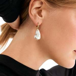 New Arrivals: Radley Earrings - Gold Plated