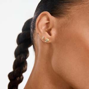 Nova Earrings 2-In-1 Set - Gold Plated