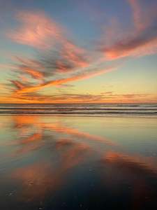 Art: Golden Blaze, Foxton Beach - Unframed Print