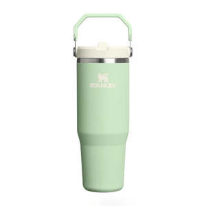 Drink Bottles Cups: Stanley - The IceFlow Flip Straw Tumbler 30 OZ Pistachio