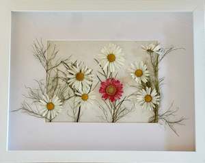 Products: Daisy Dreams