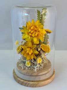 Flowerdomes: Mini Domes - Sunshine