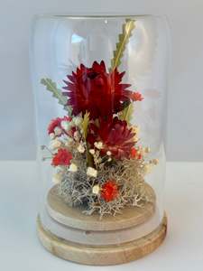 Flowerdomes: Mini Domes - Scarlett