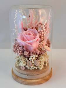 Flowerdomes: Mini Domes - Blush