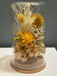 Flowerdomes: Large Domes - Sunshine