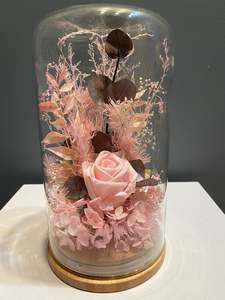 Flowerdomes: Large Domes - Blush