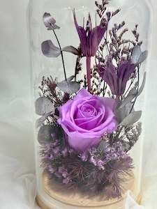 Flowerdomes: Large Domes - Mauve