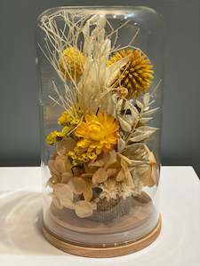 Flowerdomes: Large Domes - Sunshine