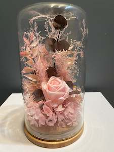 Flowerdomes: Large Domes - Blush