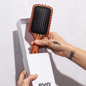 Evo: pete ionic paddle brush
