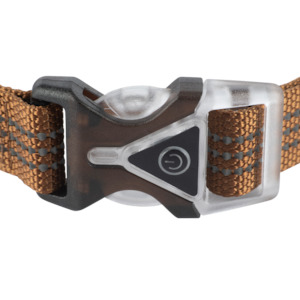 Roar Sale 22: Carhartt LIGHTED DOG Collar
