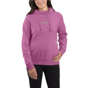 Sweats: Carhartt Women's TS5573 Lightweight Graphic Sweatshirt