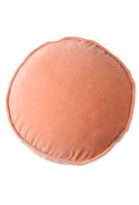 Home 1: Velvet Pea Cushion - Peach