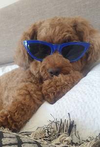 Sunglasses: Blue 60s Style Catseye Sunglasses