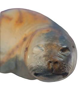 SALE Peter Johnson NZ Pottery Seal