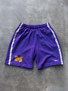 Vintage Purple Nike Michigan Shorts (M)