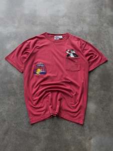 Earth Tones: Vintage 90s Looney Tunes Sylvester & Tweety Bird Pocket Tee (M)