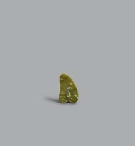 Facial Lifting Tool - Planning Initiatives