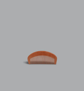 Hair Comb - Planning Initiatives