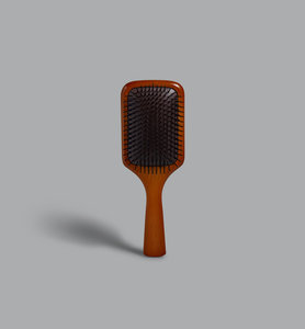 Hair Brush - Planning Initiatives