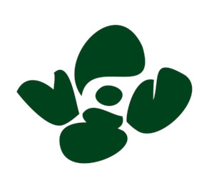 What is Yerba Mate? Planta Mate NZ