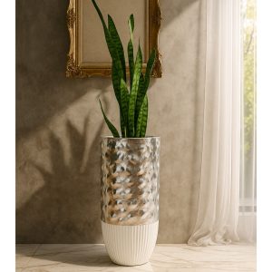 Products: Olive tree in Andromeda Planter