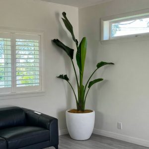 Products: Egg Pot, 45cm