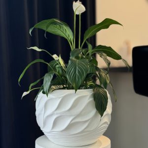 Products: indoor plant pots