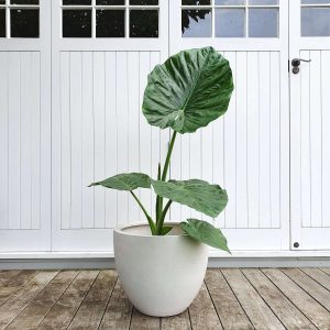 Products: Lola Pot Grey, 43cm