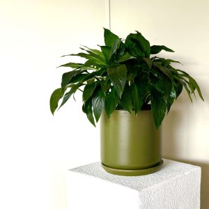 Sawyer Pot, 27cm