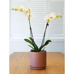 Bali Planter, 45cm Black