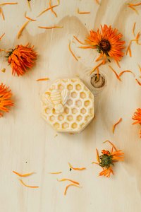 Products: Busy Bees Soap - Plant and Share