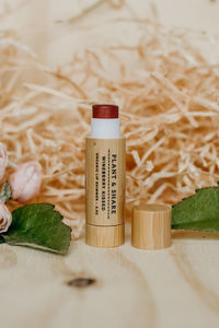 Products: Wineberry Kissed Lip Tint - Plant and Share