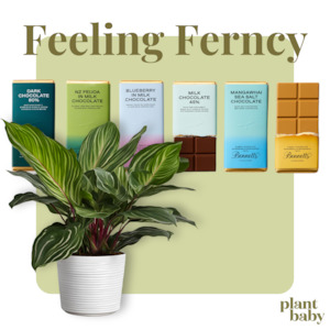 Monthly Plant Baby Subscription: Pre-Purchased Subscription of Feeling Ferncy!