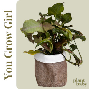 Monthly Plant Baby Subscription: You Grow Girl!