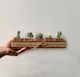 Succulent Hamper