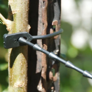 Garden Accessories: Plant Ties - Natural Rubber (10 Pack)