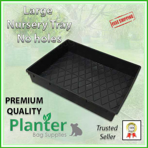 Other Growing: Large Nursery Tray Solid Base