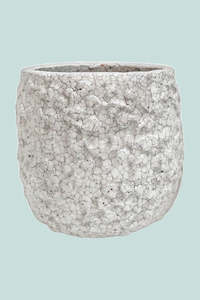 Pots Planters: Coral Glazed Pot Range - 2 Sizes