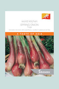 Seeds: Spring Onion - Toga - 275 Seeds