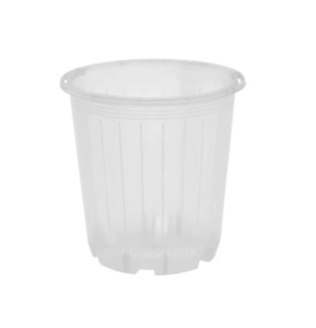 Nursery Pots Saucers: Clear Nursery Pot 7cm (170ml)