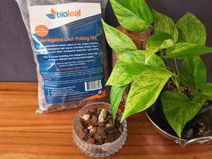 Pest Control Copy: Bio Leaf Premium Variegated Leaf Potting Mix - 5 Litre