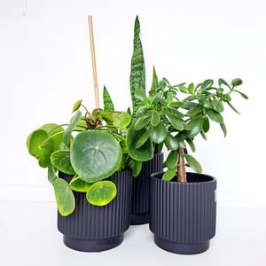Ceramic Ribbed Conner Cover Pots - Black