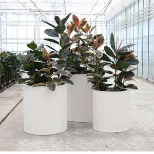 Pots And Planters: Piako ribbed cylinder planters - AVAIL FOR PRE-ORDER
