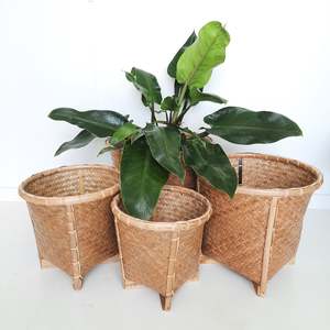 Pots And Planters: Baskets, Raffles Round - Set of 4 or Individuals