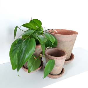 Pots And Planters: Aged Terracotta round pots & saucers - Set of 3 or Individuals